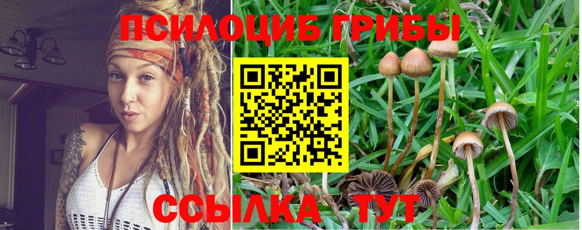 Кириши  Галлюциногенные грибы прущие грибы  Вход с VPN 